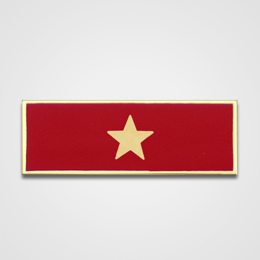 1-Star Red Merit Pin-Bar