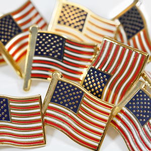 
            
                Load image into Gallery viewer, Multiple mini USA flag gold pins
            
        