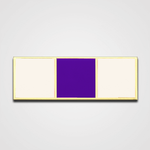 3-Stripe White/Purple Merit Pin-Bar